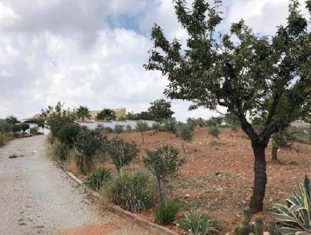 Terreno en venta en Vélez Rubio, Almería photo 2