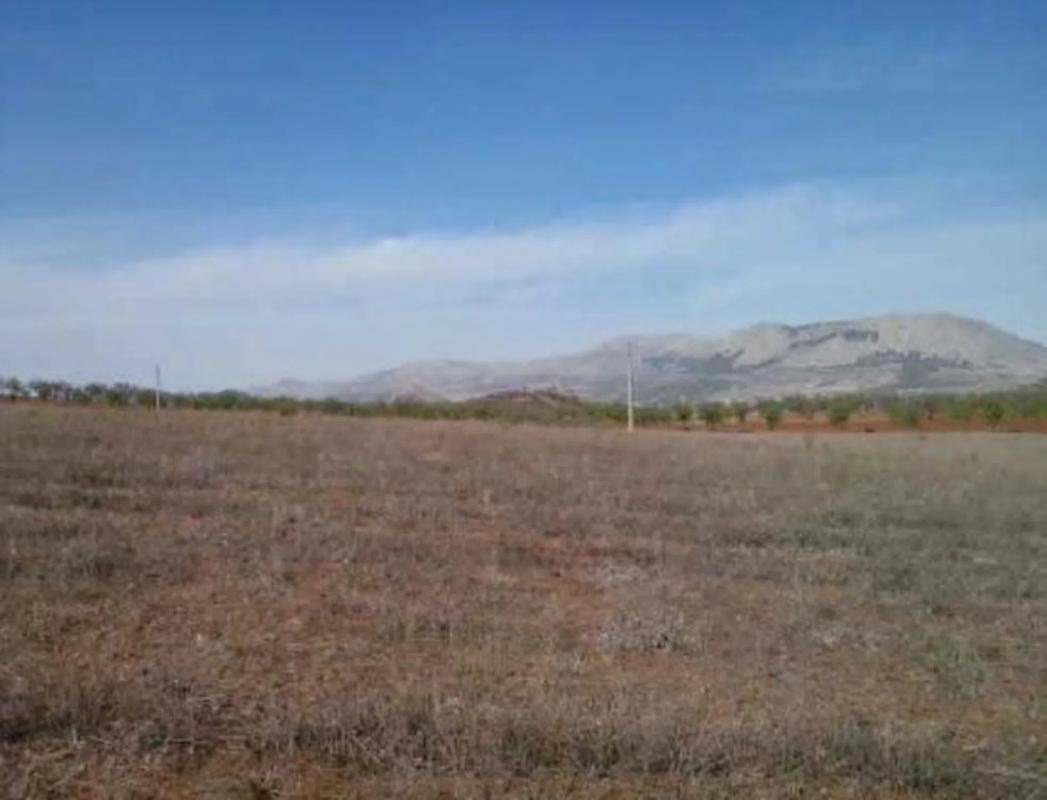 Terreno en venta en Vélez Rubio, Almería photo 5