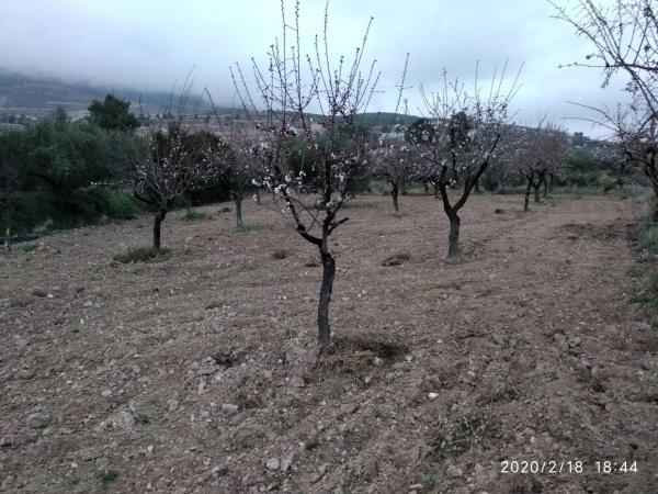 Terreno en camino los serranos s/n photo 1