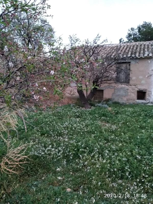 Terreno en venta en Vélez Rubio, Almería photo 2