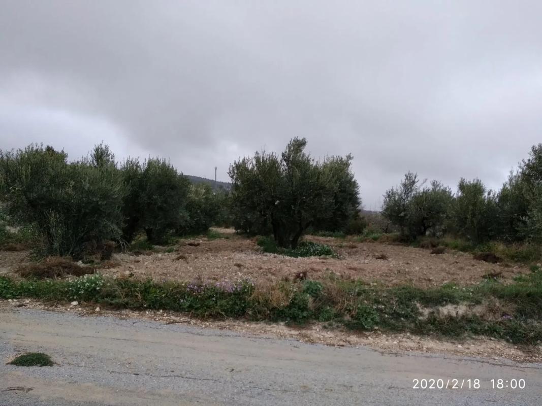 Terreno en venta en Vélez Rubio, Almería photo 4