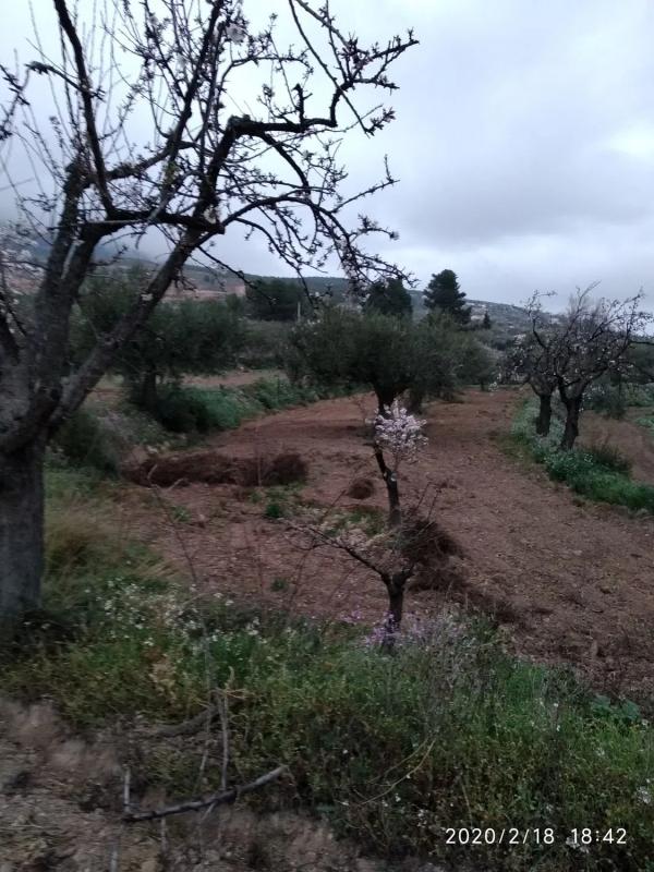 Terreno en venta en Vélez Rubio, Almería photo 5