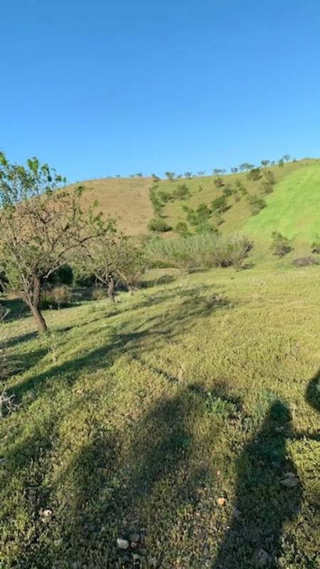 Terreno en venta en Vélez Rubio, Almería photo 5