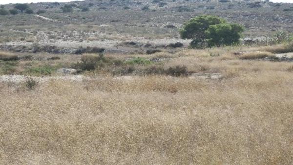 Terreno en calle Balsa Blanca photo 1