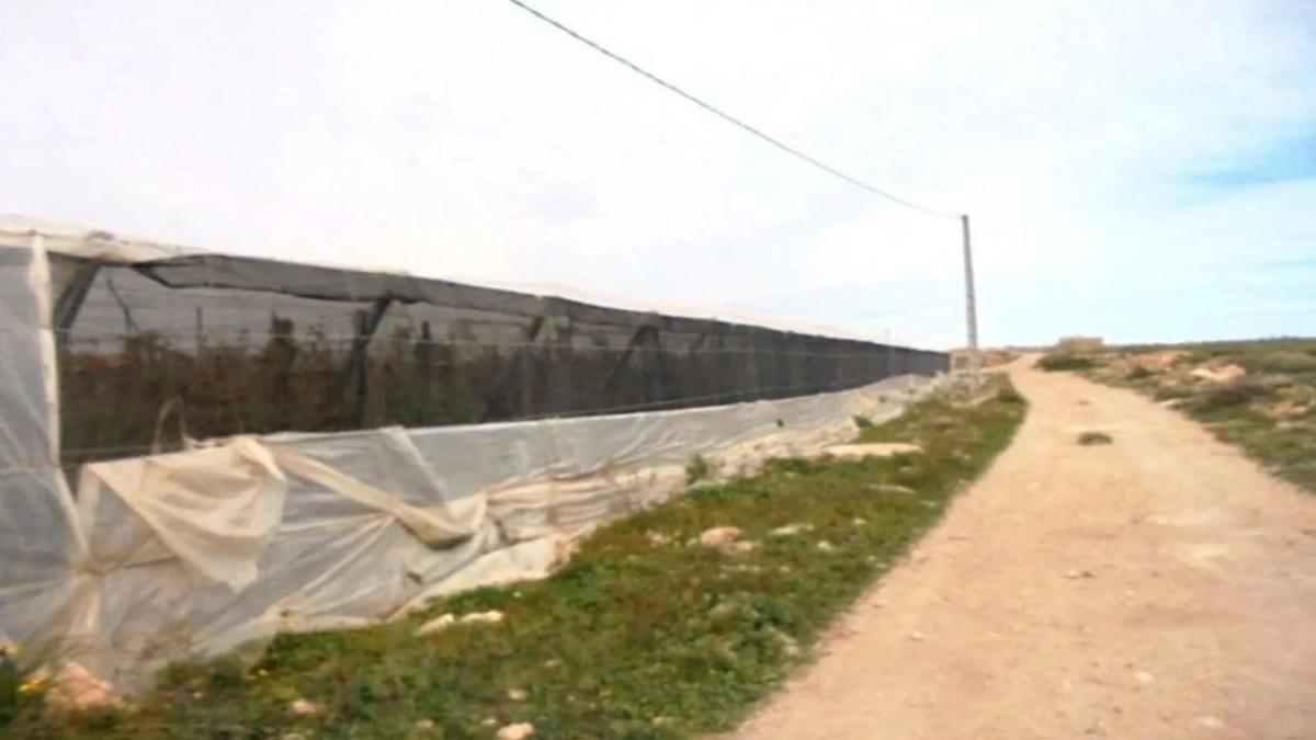 Land for sale in Nijar, Almería photo 3
