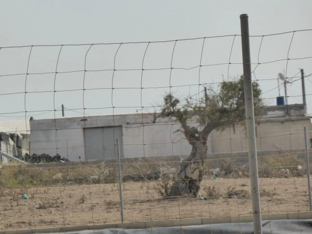 Land for sale in Nijar, Almería photo 4