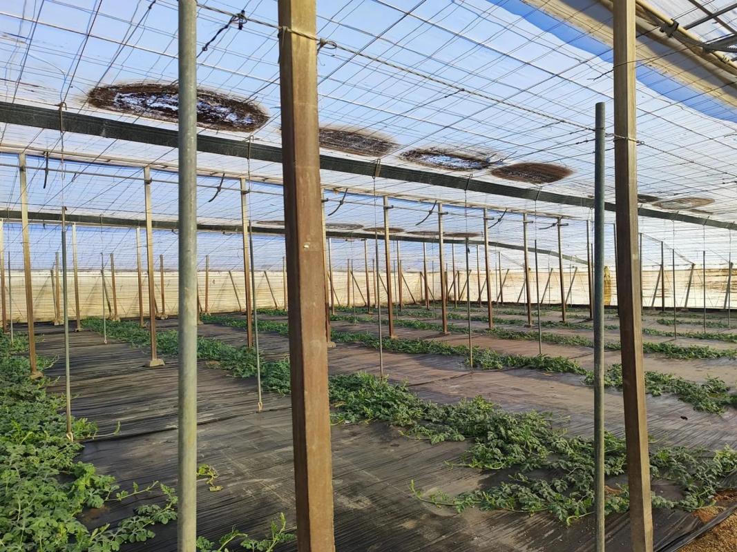 Участок земли на продажу в Нихар, Алмерия photo 2