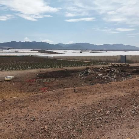 Terreno en Barranquete s/n thumbnail 1