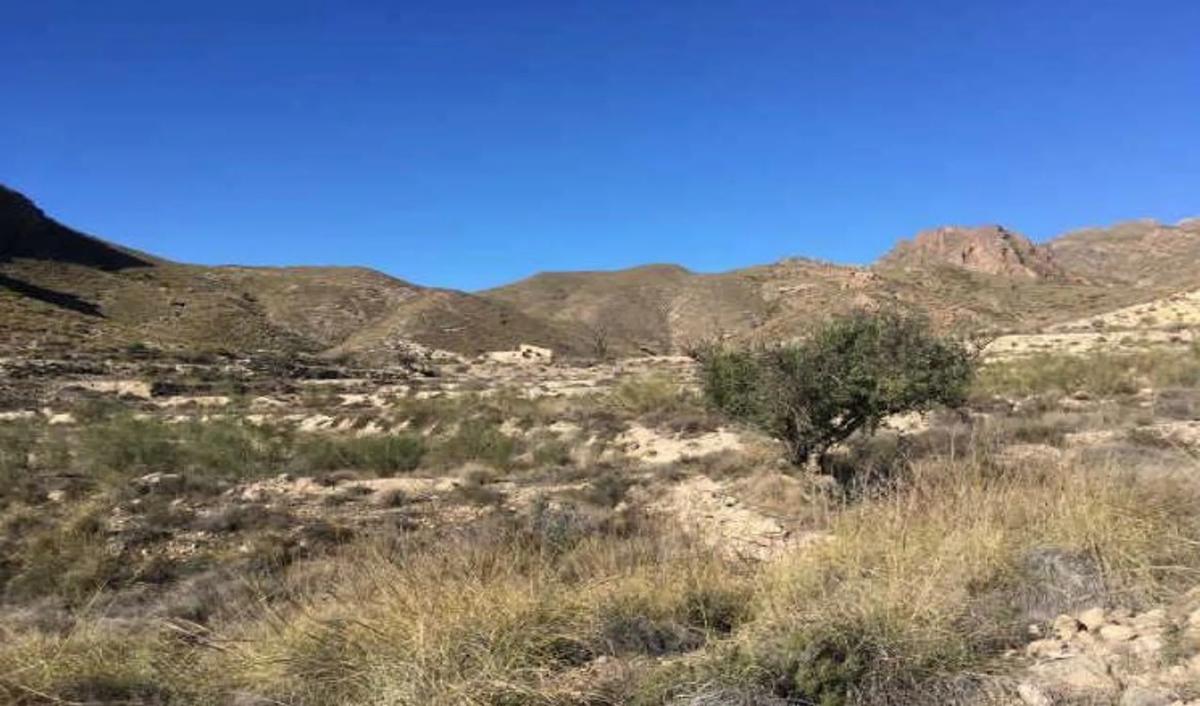 Działka na sprzedaż w Nijar, Almería photo 5