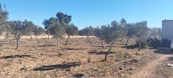 Terreno en San Isidro/nijar s/n photo 2