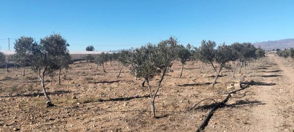 Terreno en San Isidro/nijar s/n photo 4