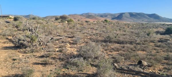 Terreno en El Hornillo s/n CarreteraLosGimenez photo 2