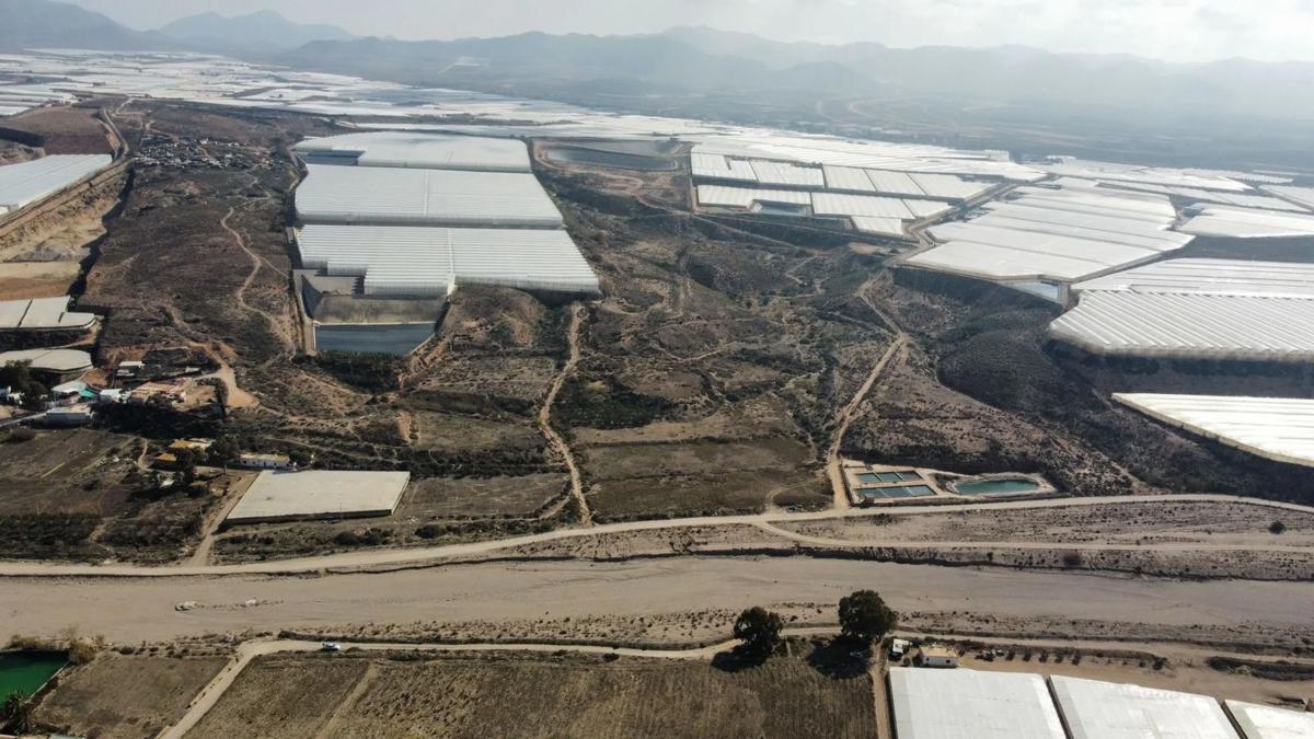 Działka na sprzedaż w Nijar, Almería photo 4