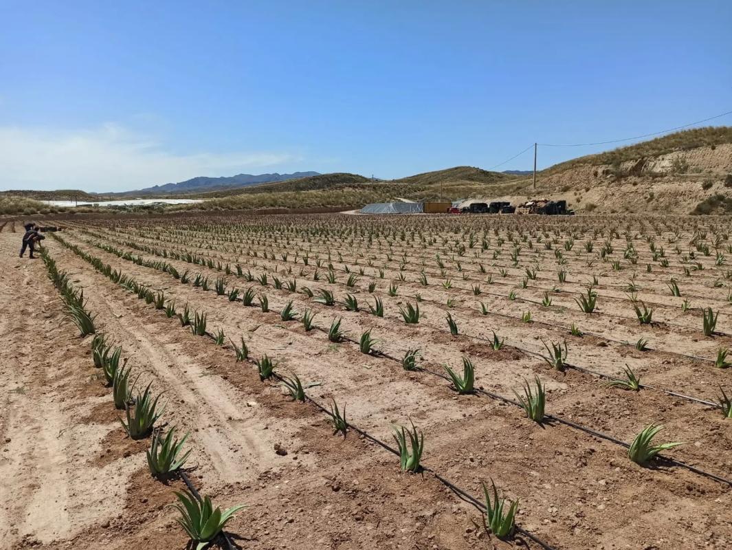 Land for sale in Nijar, Almería photo 2