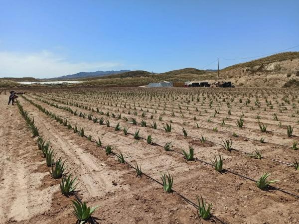 Terreno en Paraje Los Matarines s/n sn thumbnail 1
