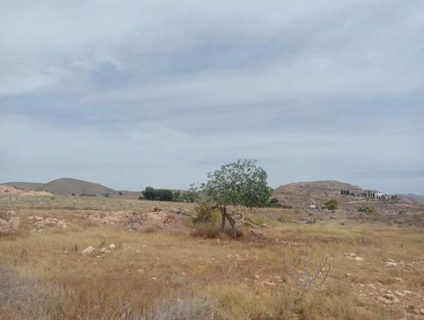 Terreno en Al-5106, km 4.5, s/n thumbnail 1