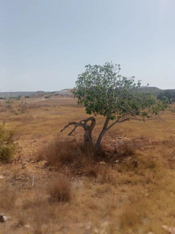 Участок земли на продажу в Нихар, Алмерия photo 5