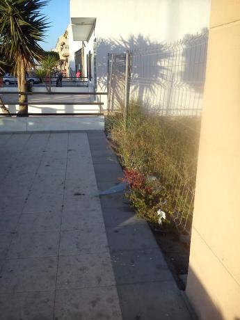 Terreno en avenida Constitución, 52 photo 2