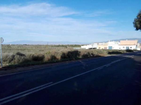 Terreno en Diseminado Cortijo Noria photo 3