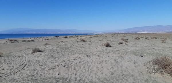 Terreno en paseo Maritimo, 100 photo 2
