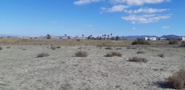 Terreno en paseo Maritimo, 100 photo 3