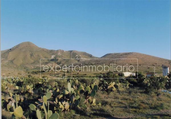 Terreno en calle casillas s/n photo 4