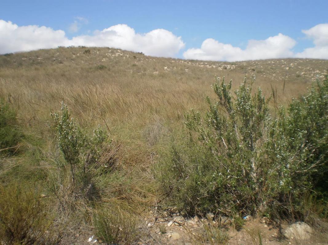 Terreno en venta en Carboneras, Almería photo 3