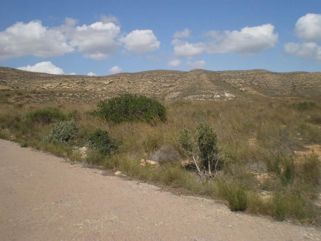 Terreno en venta en Carboneras, Almería photo 4