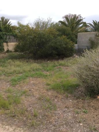 Terreno en calle las casillas, 24 photo 2