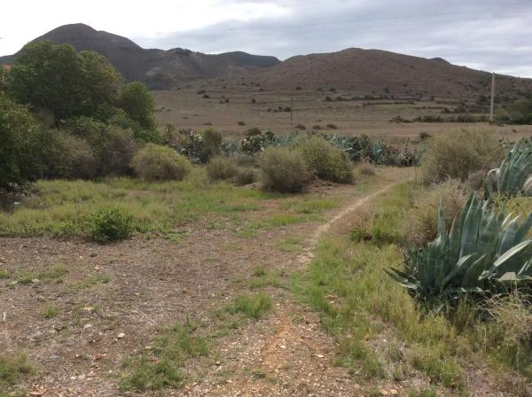 Terreno en calle las casillas, 24 photo 3