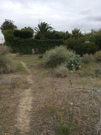 Terreno en calle las casillas, 24 photo 4
