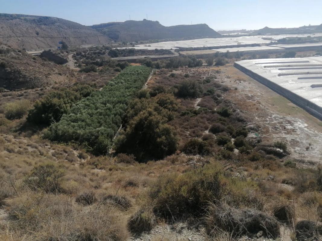 Land for sale in Adra, Almería photo 4