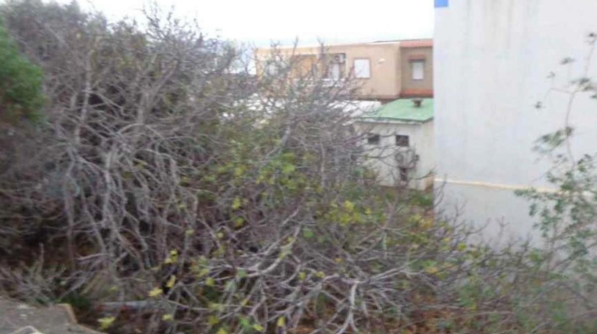 Участок земли на продажу в Адра, Алмерия photo 3