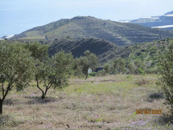 Terreno en Paraje Las Chumbillas s/n photo 2