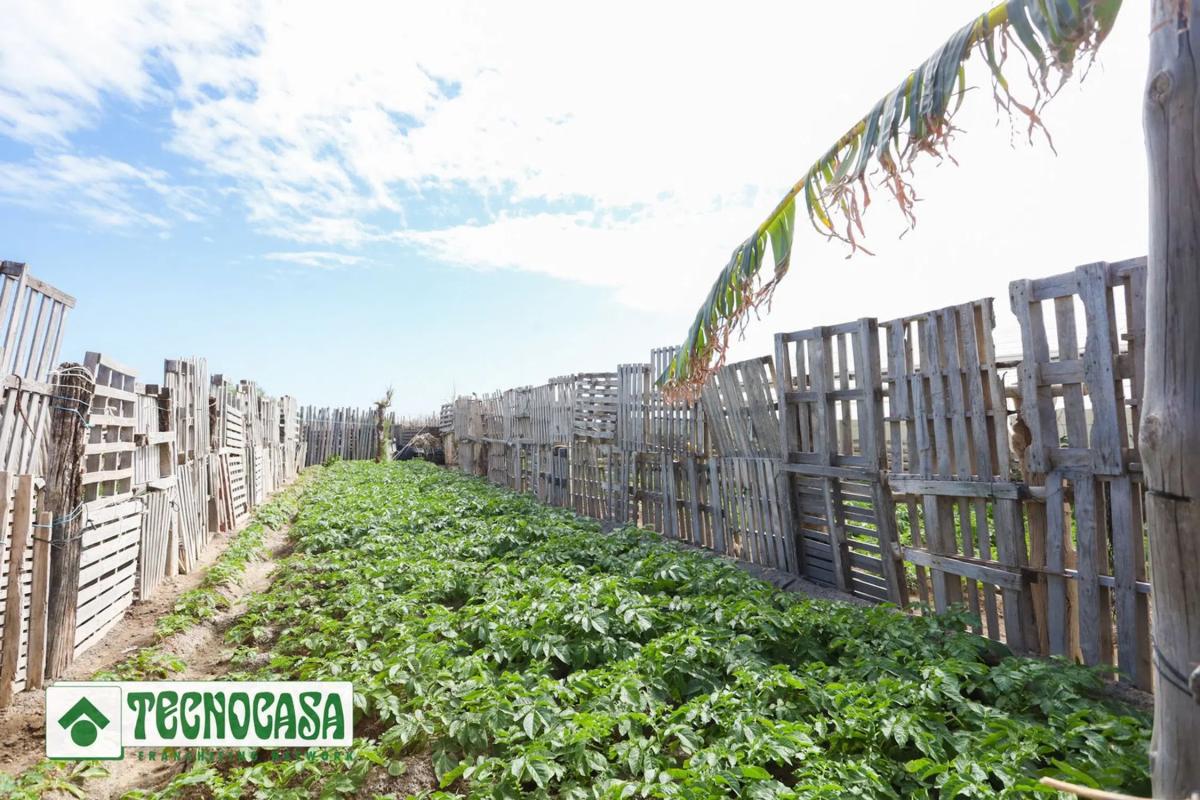 Terreno en venta en Adra, Almería photo 4