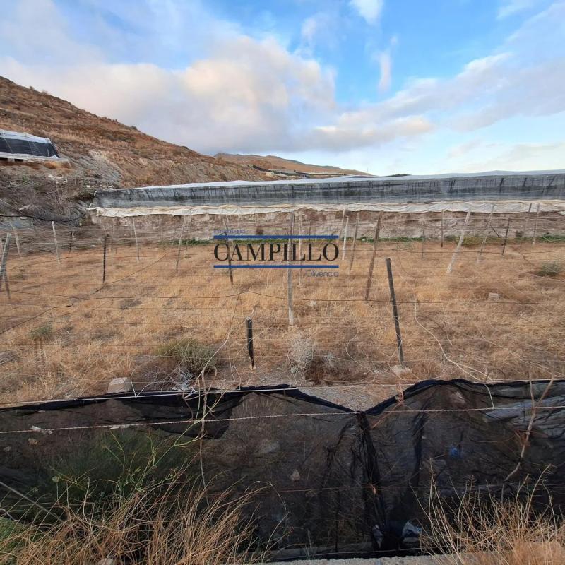 Terreno en venta en Adra, Almería photo 4