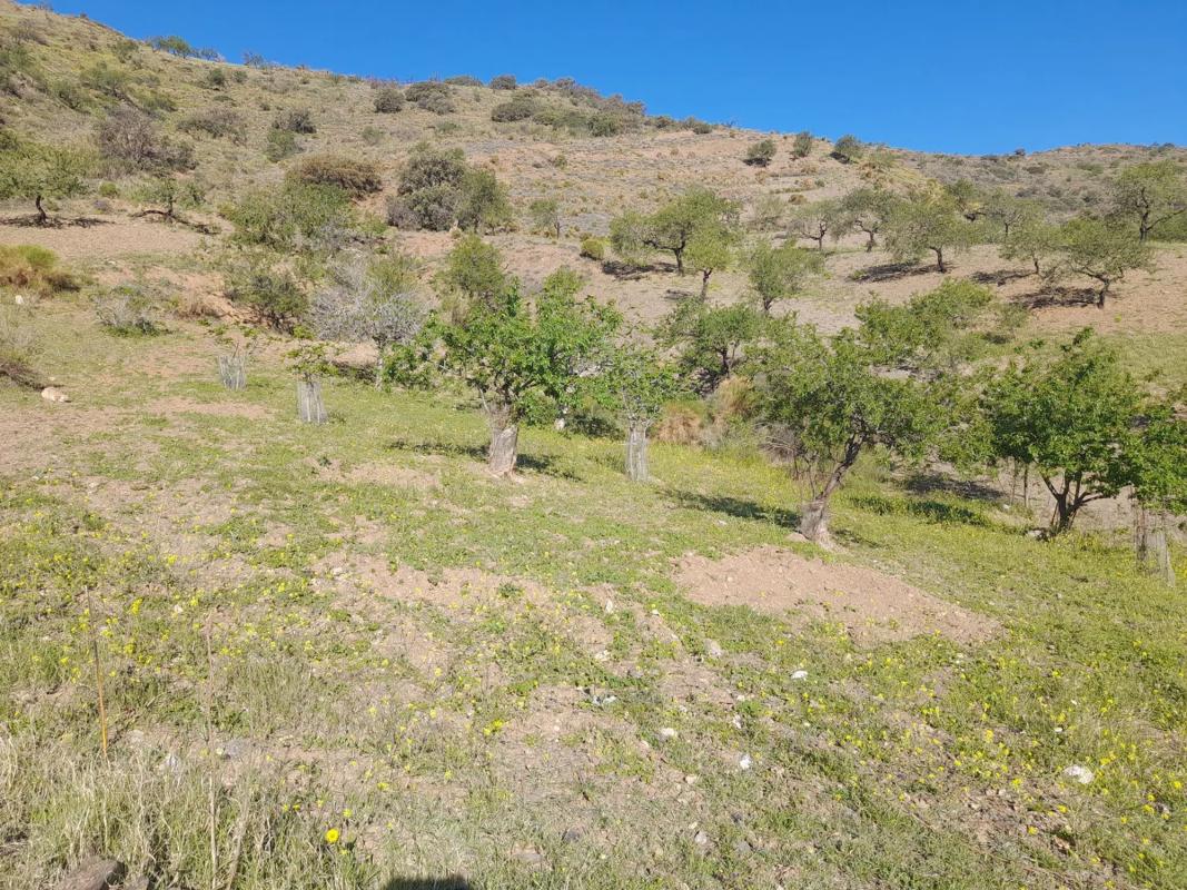 Terreno en venta en Adra, Almería photo 5