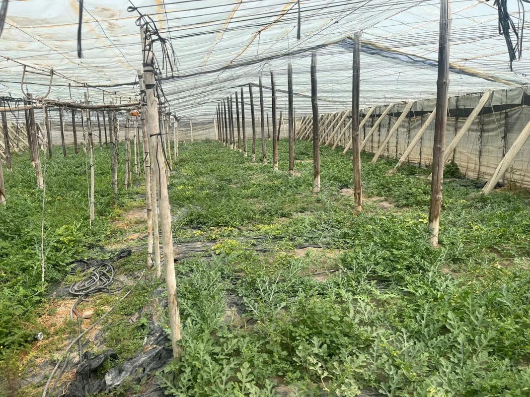 Terreno en venta en Adra, Almería photo 3