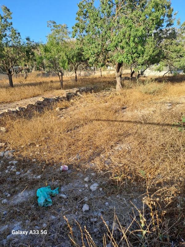 Terreno en venta en Berja, Almería photo 4