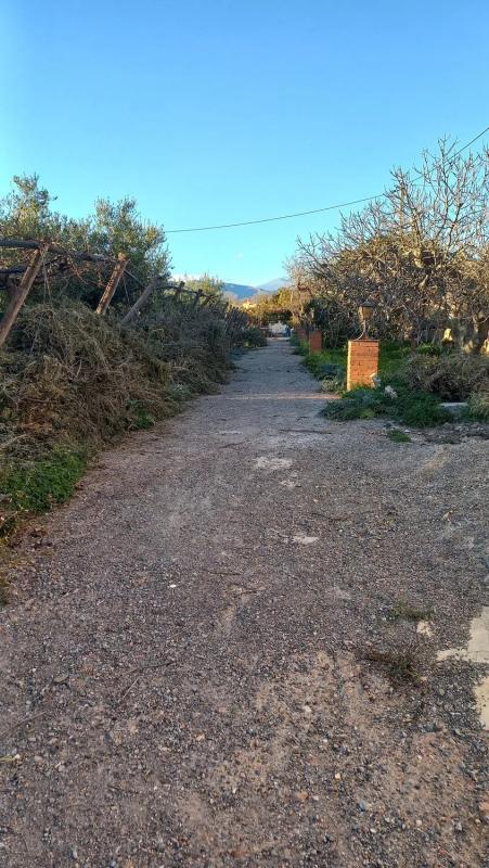 Terreno en venta en Berja, Almería photo 4