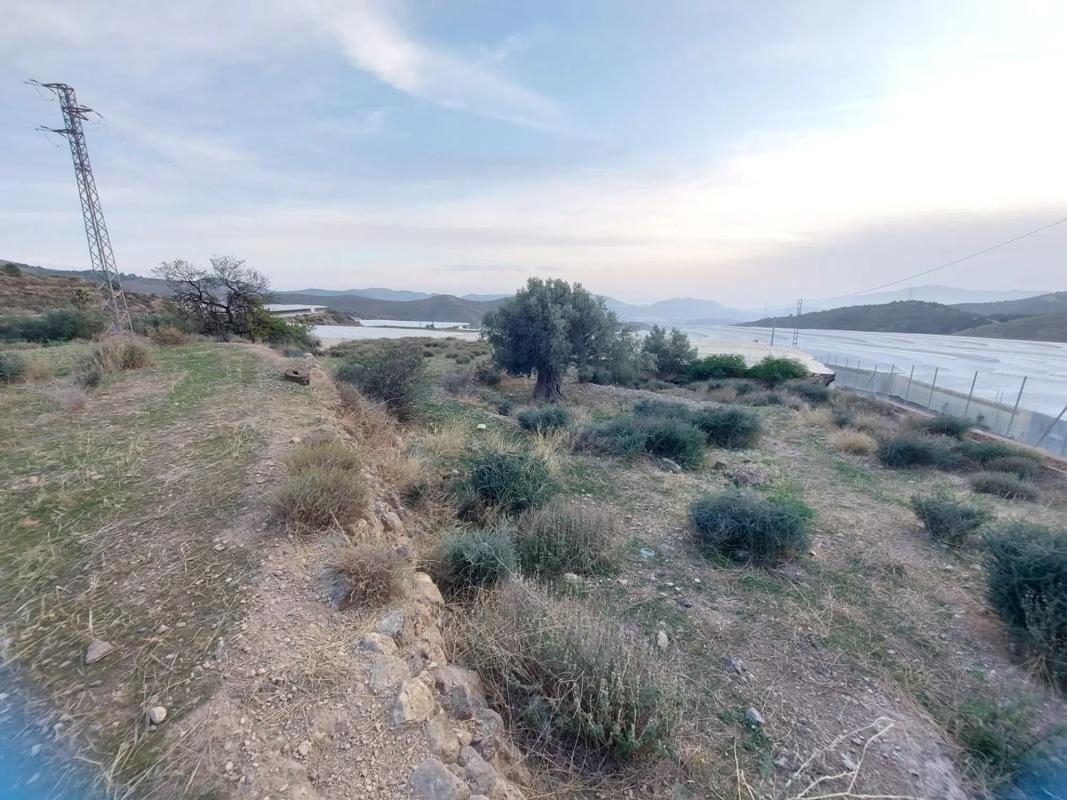 Terreno en venta en Berja, Almería photo 2