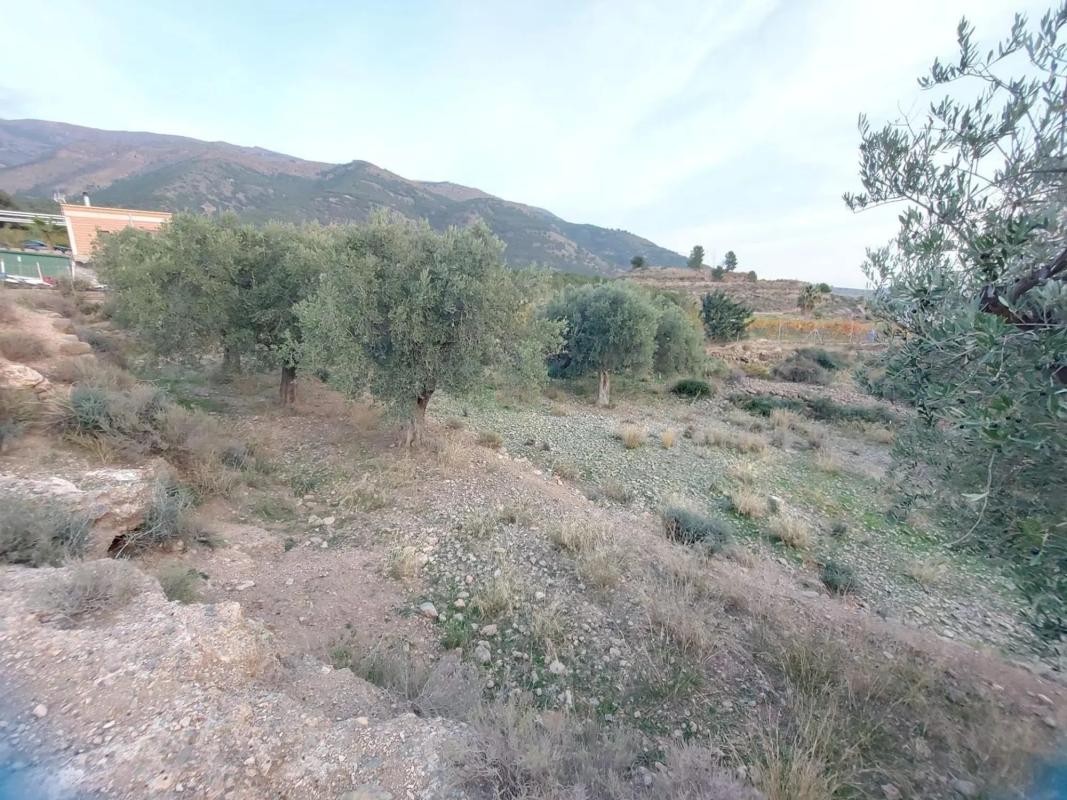 Terreno en venta en Berja, Almería photo 3