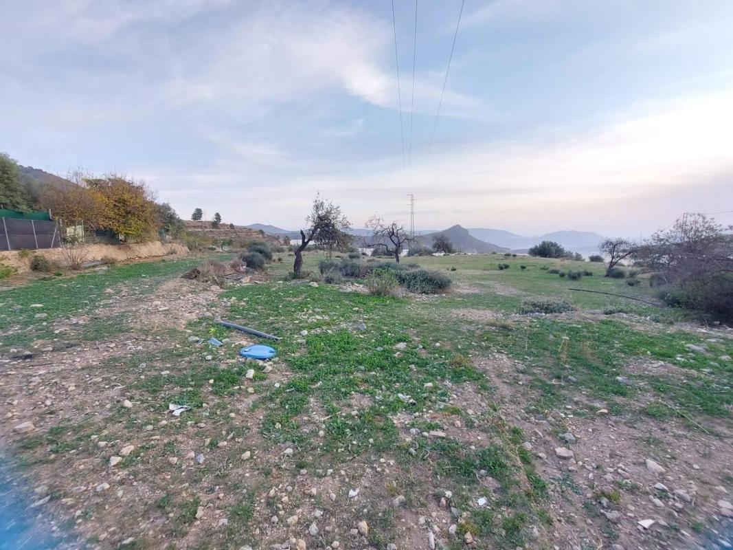 Terreno en venta en Berja, Almería photo 4