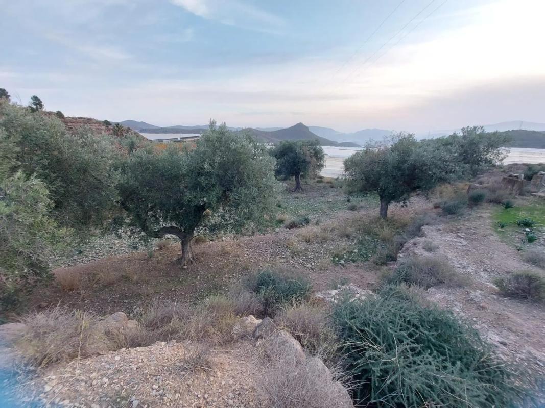 Terreno en venta en Berja, Almería photo 5