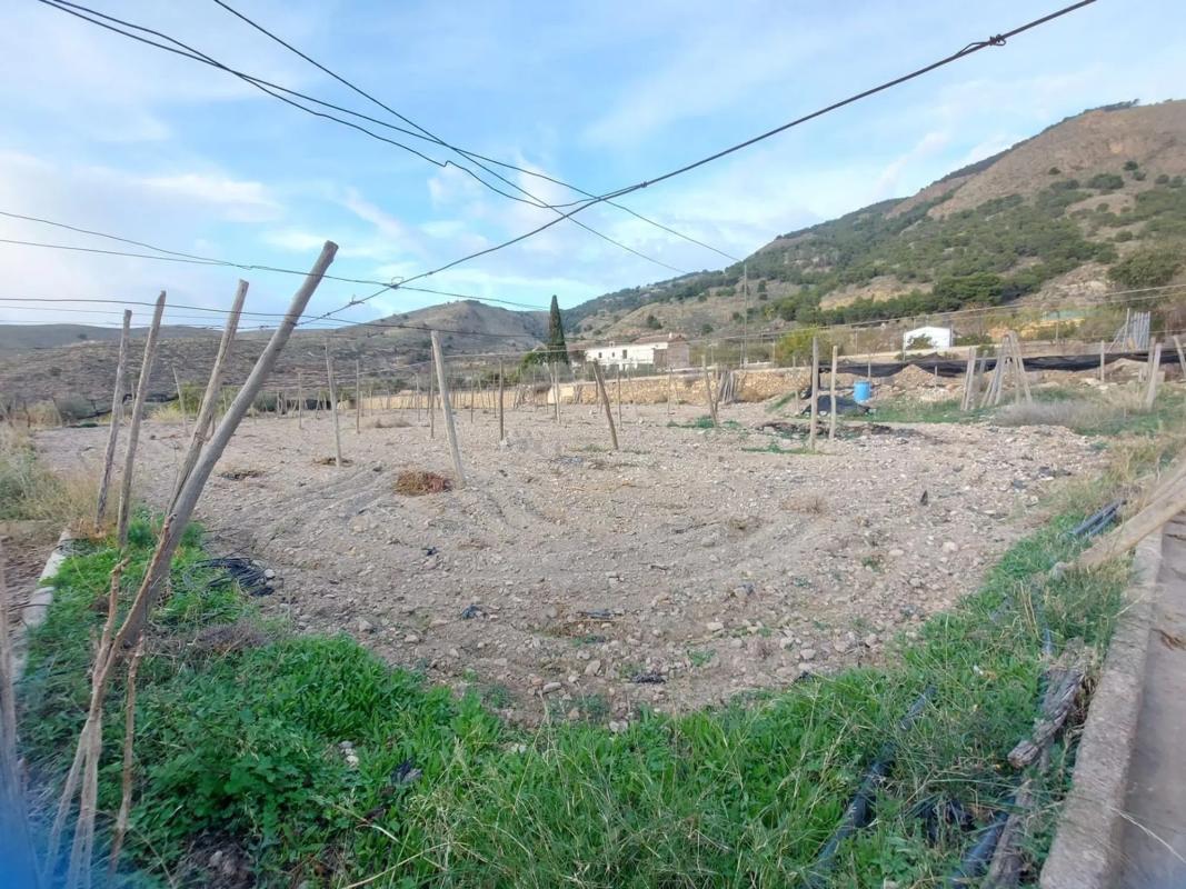 Terreno en venta en Berja, Almería photo 1
