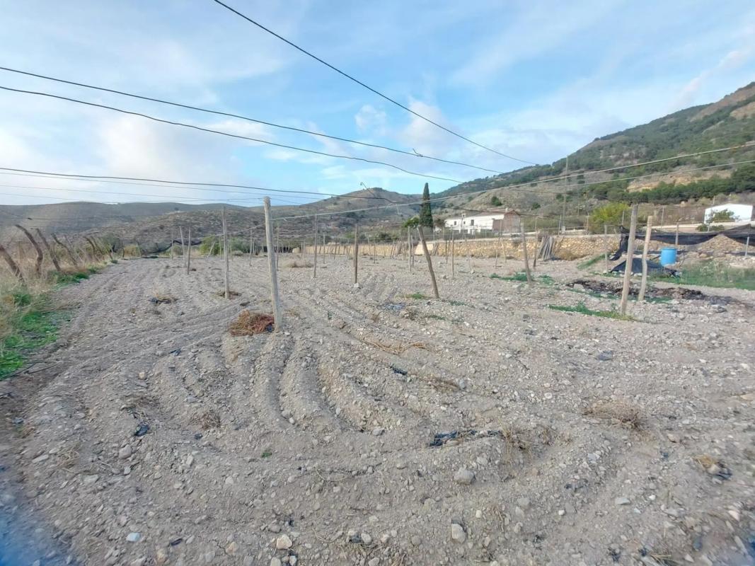 Terreno en venta en Berja, Almería photo 2