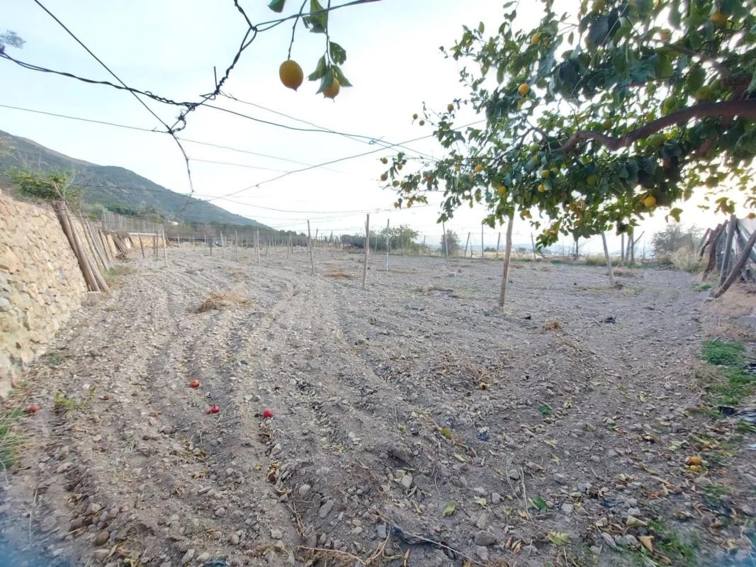 Terreno en venta en Berja, Almería photo 5