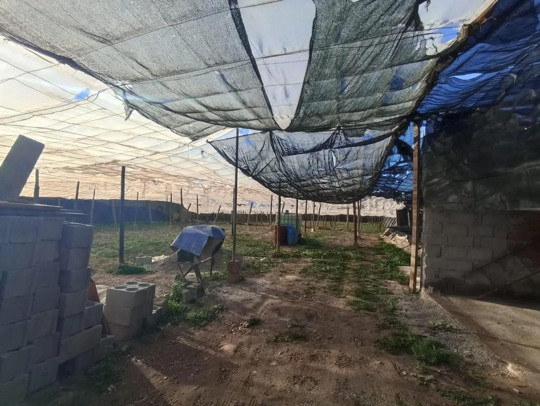 Terreno en venta en Berja, Almería photo 4