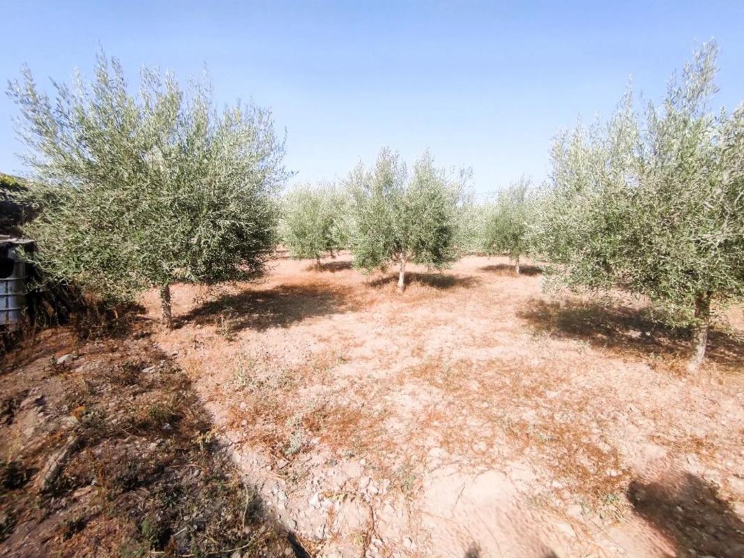 Terreno en venta en Berja, Almería photo 1
