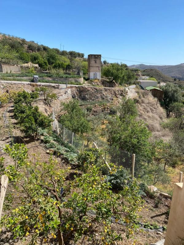 Terreno en venta en Berja, Almería photo 4